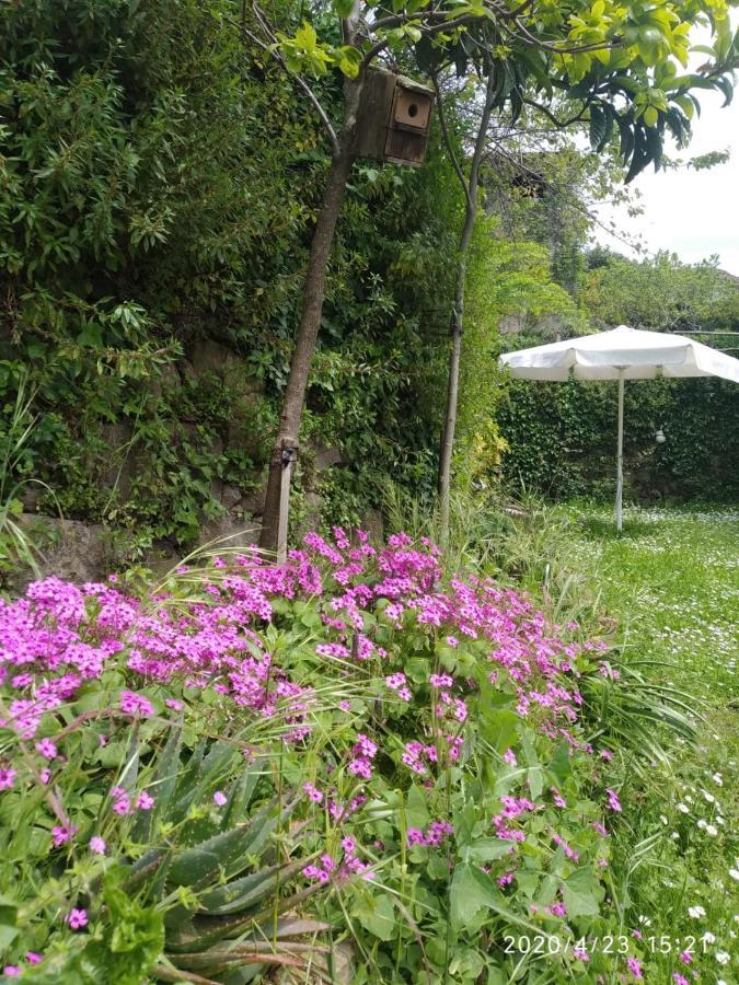 Apartamentos & Casa Rural Boada Con Jardin Interior Y Barbacoa Villamiel Exterior photo